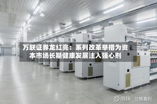 万联证券龙红亮:系列改革举措为资本市场长期健康发展注入强心剂-第2张图片