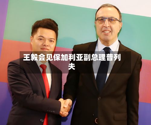 王毅会见保加利亚副总理普列夫