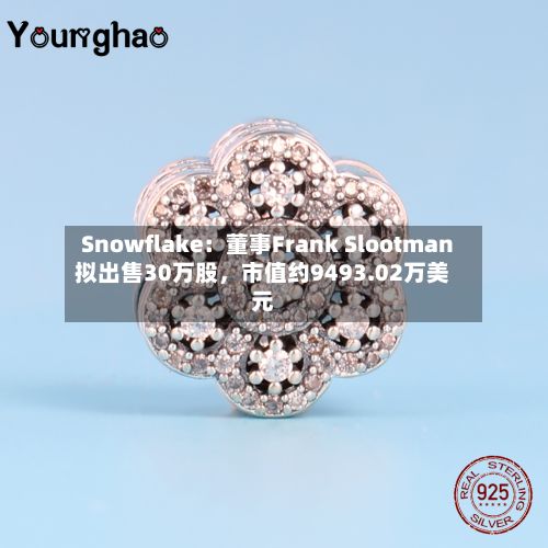 Snowflake：董事Frank Slootman拟出售30万股，市值约9493.02万美元-第2张图片
