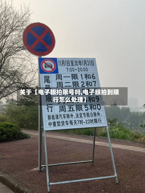 关于【电子眼拍限号吗,电子眼拍到限行怎么处理】