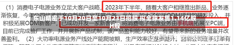 东山精密于10月20日至10月23日招股 拟全球发售1.14亿股H股