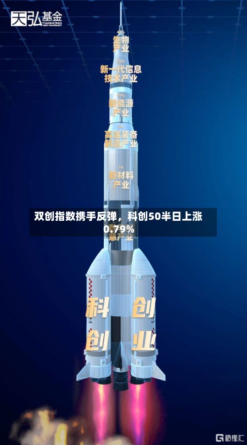 双创指数携手反弹，科创50半日上涨0.79%-第2张图片