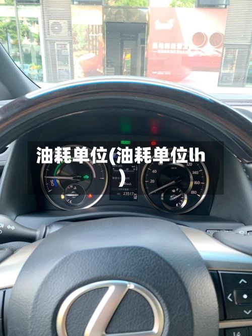 油耗单位(油耗单位lh)