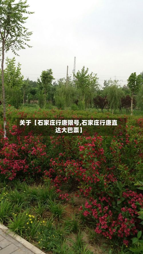 关于【石家庄行唐限号,石家庄行唐直达大巴票】-第2张图片