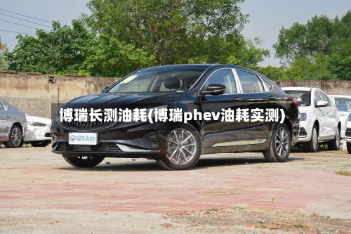 博瑞长测油耗(博瑞phev油耗实测)-第2张图片