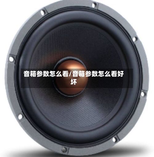 音箱参数怎么看/音箱参数怎么看好坏-第2张图片