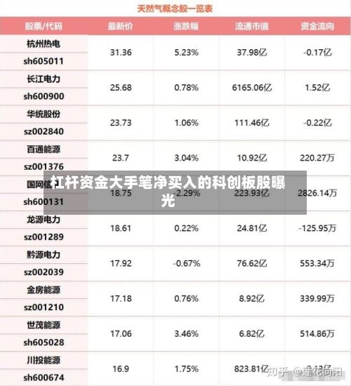 杠杆资金大手笔净买入的科创板股曝光-第3张图片