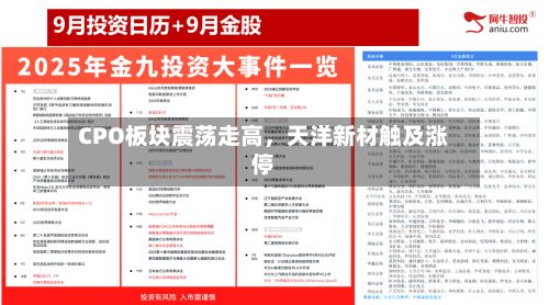 CPO板块震荡走高	，天洋新材触及涨停-第2张图片