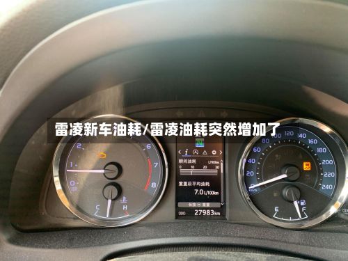 雷凌新车油耗/雷凌油耗突然增加了-第2张图片