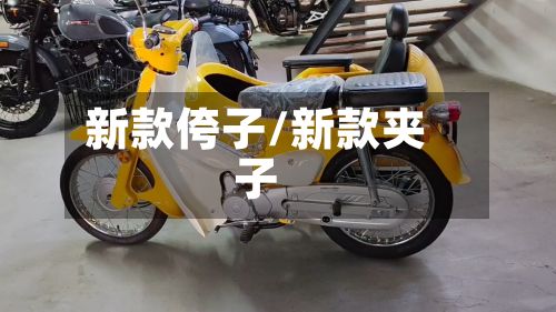 新款侉子/新款夹子
