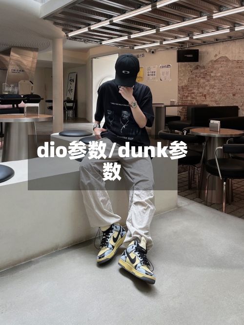 dio参数/dunk参数