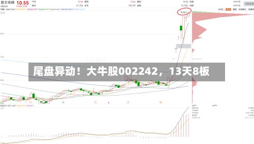尾盘异动！大牛股002242	，13天8板-第2张图片