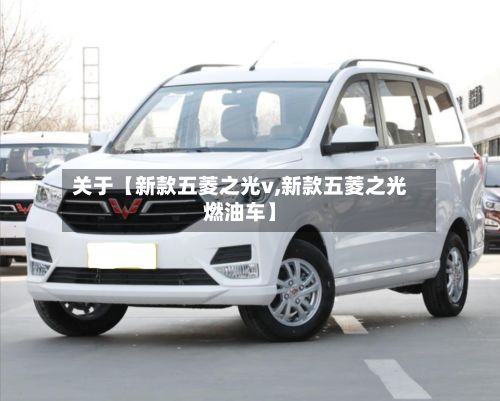 关于【新款五菱之光v,新款五菱之光燃油车】-第2张图片