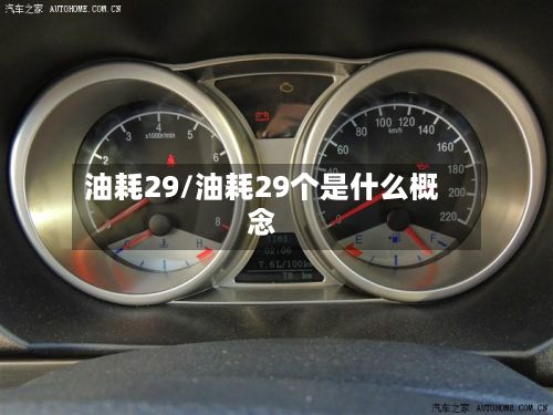 油耗29/油耗29个是什么概念