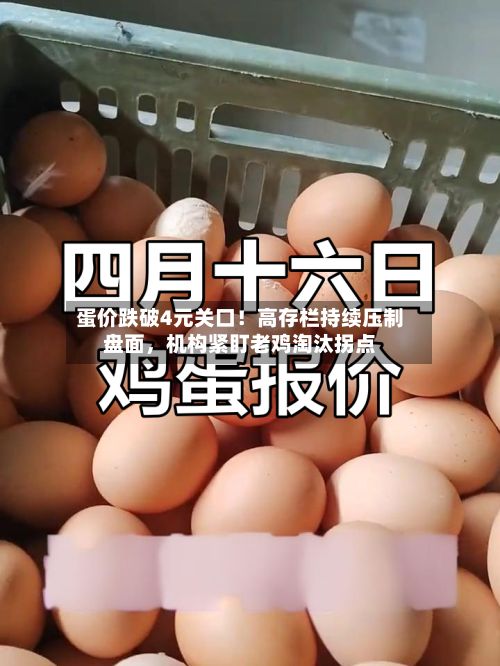 蛋价跌破4元关口！高存栏持续压制盘面，机构紧盯老鸡淘汰拐点-第3张图片