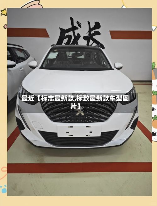 最近【标志最新款,标致最新款车型图片】-第3张图片
