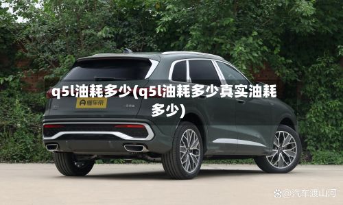 q5l油耗多少(q5l油耗多少真实油耗多少)-第2张图片