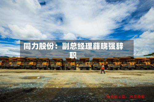 同力股份：副总经理薛晓强辞职