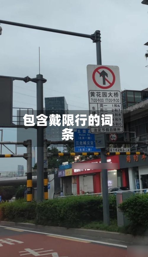 包含戴限行的词条