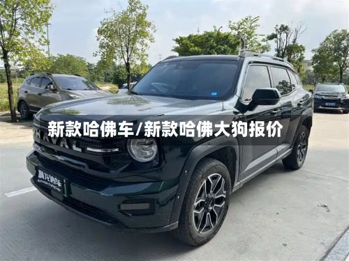 新款哈佛车/新款哈佛大狗报价-第2张图片