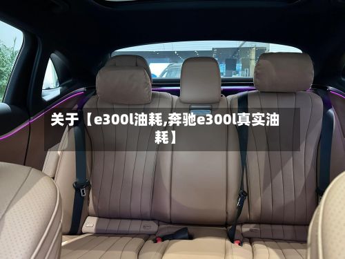 关于【e300l油耗,奔驰e300l真实油耗】-第2张图片