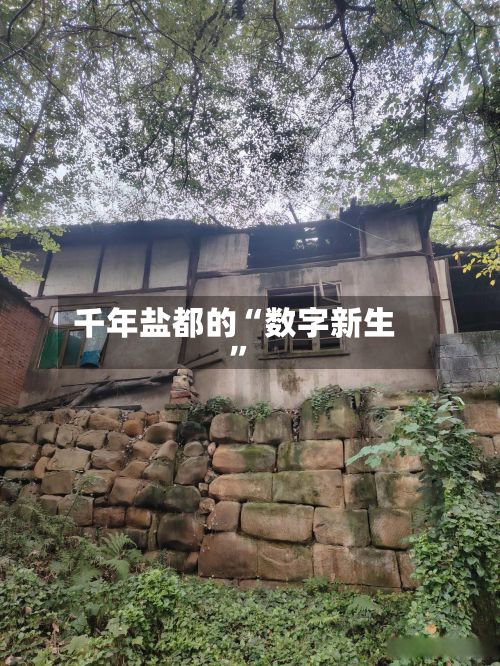千年盐都的“数字新生”-第2张图片