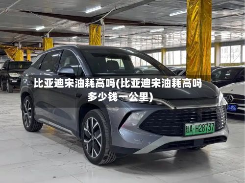 比亚迪宋油耗高吗(比亚迪宋油耗高吗多少钱一公里)-第1张图片