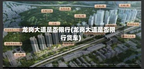 龙岗大道是否限行(龙岗大道是否限行货车)