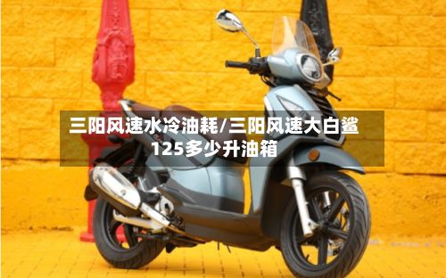 三阳风速水冷油耗/三阳风速大白鲨125多少升油箱