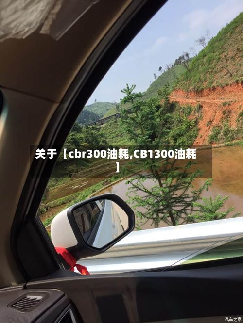 关于【cbr300油耗,CB1300油耗】-第3张图片