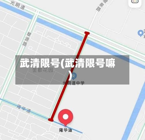 武清限号(武清限号嘛)-第2张图片