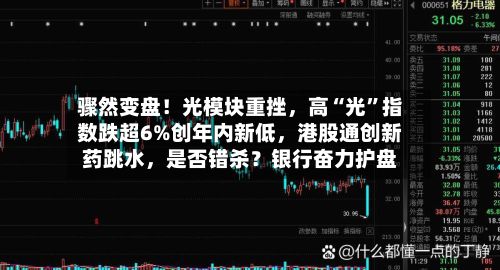 骤然变盘！光模块重挫	，高“光	”指数跌超6%创年内新低，港股通创新药跳水，是否错杀？银行奋力护盘-第2张图片