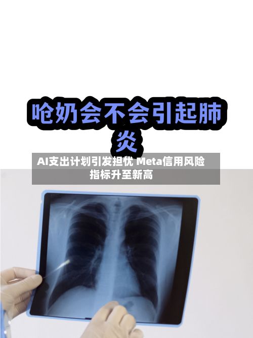 AI支出计划引发担忧 Meta信用风险指标升至新高