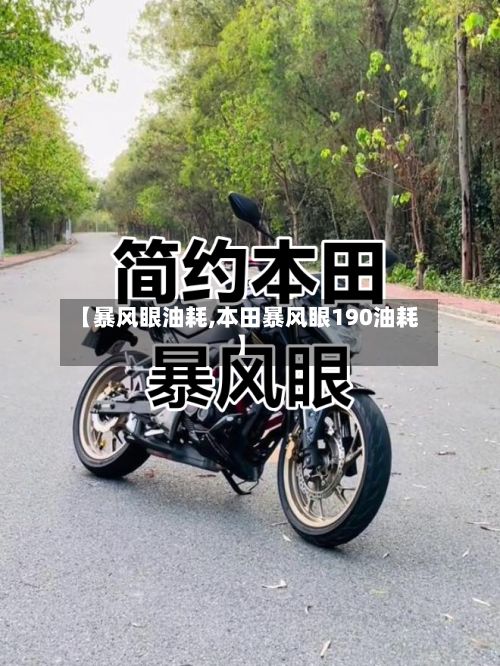 【暴风眼油耗,本田暴风眼190油耗】-第2张图片