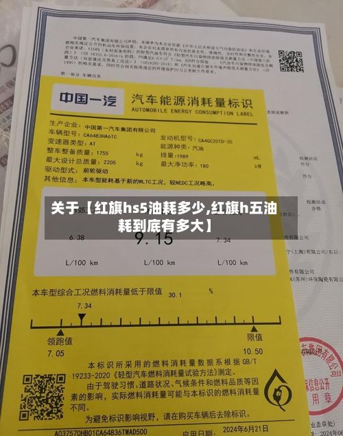 关于【红旗hs5油耗多少,红旗h五油耗到底有多大】-第3张图片
