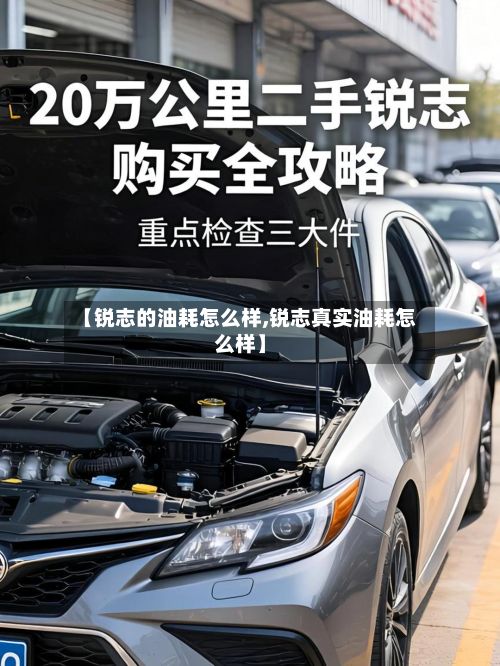 【锐志的油耗怎么样,锐志真实油耗怎么样】-第2张图片