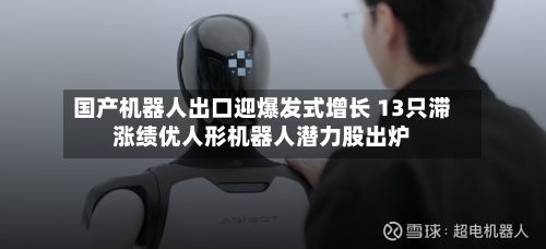 国产机器人出口迎爆发式增长 13只滞涨绩优人形机器人潜力股出炉-第2张图片