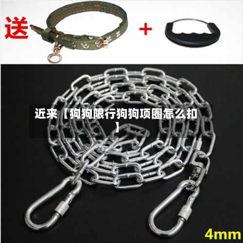 近来【狗狗限行狗狗项圈怎么扣】