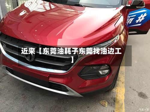 近来【东莞油耗子东莞找油边工】-第2张图片