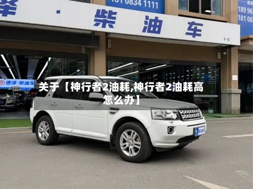 关于【神行者2油耗,神行者2油耗高怎么办】-第3张图片