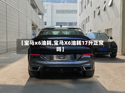 【宝马x6油耗,宝马X6油耗17升正常吗】-第3张图片