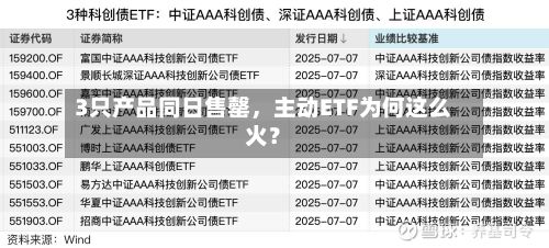 3只产品同日售罄	，主动ETF为何这么火？-第2张图片