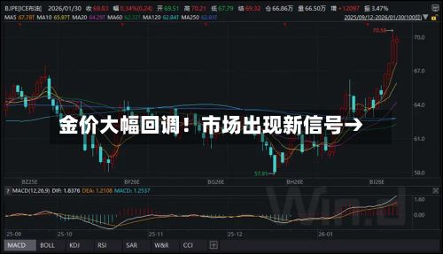 金价大幅回调！市场出现新信号→-第2张图片